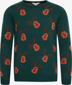 OXMO Pullover Strickpullover Christel Frauen Grün